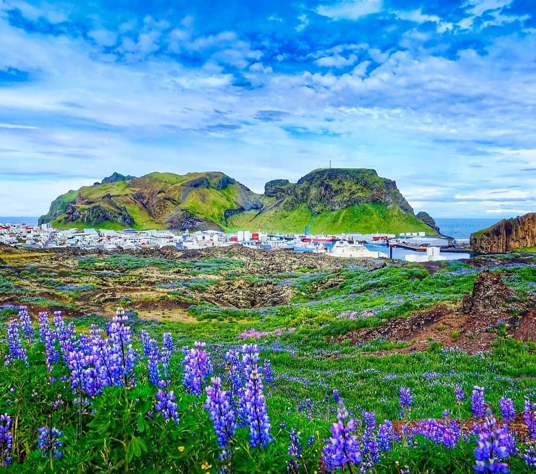 Lonely Planetのインスタグラム：「Iceland is so much more than just the Northern Lights. There's something to do in almost every season. ⠀⠀⠀⠀⠀⠀⠀⠀⠀ Check out our link in bio to see what season fits you best. ⠀⠀⠀⠀⠀⠀⠀⠀⠀ ⠀⠀⠀⠀⠀⠀⠀⠀⠀ #Lonelyplanet #Iceland」