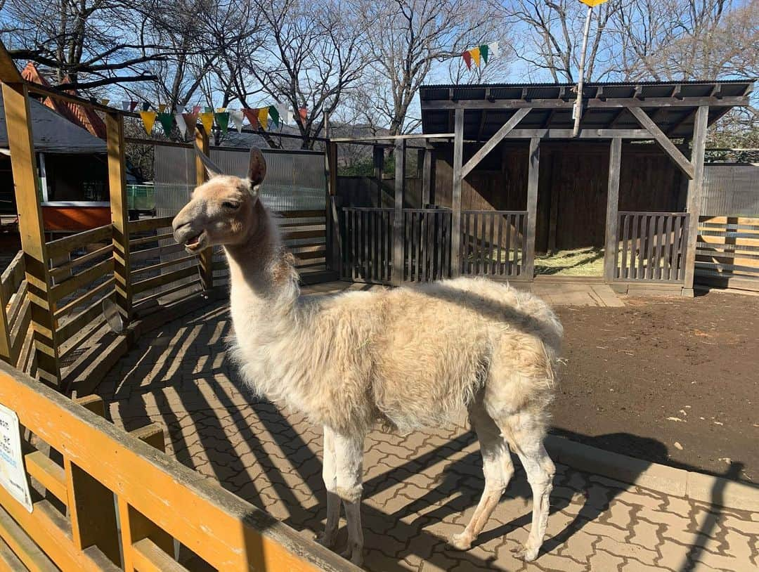 春日萌花のインスタグラム