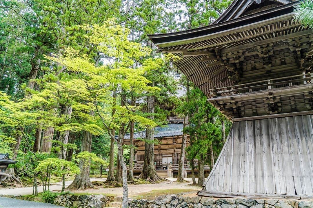 Visit Wakayamaのインスタグラム：「. ⠀ We love getting lost in these serene hidden spots around Koyasan. ⠀ 📸 @m24instudio⠀ 📍 Koyasan, Wakayama」