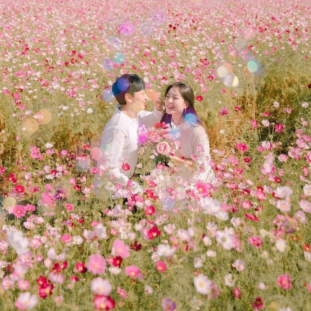 ♡プラコレWedding·⋆*さんのインスタグラム写真 - (♡プラコレWedding·⋆*Instagram)「. @placolewedding【#DRESSY花嫁 】 【#プラコレ】をつけて投稿&フォローしてね♩ . ＝＝＝＝＝＝＝＝ . 開放的なお花畑で撮影した 色鮮やかで春らしい#韓国フォト💐✨ . 心が踊るようなロケーションに、 お二人の魅力を引き出す構図が どれも素敵で参考になります👗💕  思わず撮影方法などが気になってしまう、 ステキなウェディングフォトを ぜひチェックしてみて👰💐 . ＝＝＝＝＝＝＝＝ 👗 photo by... @jeju_fairytale さん . ＝＝＝＝＝＝＝＝ 『#DRESSY花嫁』『#プラコレ』の ハッシュタグをつけて写真をUPしてね✦ 花嫁アプリ『DRESSY by プラコレ』の 記事に掲載＆リグラムされるかも♩ . みなさまからのいいねや保存 コメントをお待ちしています♥ 「このウェディングドレス可愛い！」 「ヘアスタイルも気になる！！」 「今の花嫁さんの流行りは！？」etc. . ＝＝＝＝＝＝＝＝ 花嫁アプリでは、 プロのアドバイザーに結婚式の相談を何度でも♡ ウェディングドレスの記事や、 自分のウェディングレポを残せちゃう♡” . ＞＞＞TOPのURLからcheck ⋈ @placolewedding ＞＞＞結婚のご相談は プラコレウェディングアドバイザーへ♡ @wedding_adviser ＞＞＞ウェディングレポを残したいなら、 farny by プラコレをcheck ✎ @farny_wedding ＞＞＞ウェディングアイデア＆DIYは ドレシーアイデアcheck ❁ @dressy_idea >>>素敵なドレスに出会いたい花嫁さま♡ @dressyonline_をcheck . ＝＝＝＝＝＝＝＝＝＝＝＝＝＝＝＝ . #プレ花嫁 #卒花 #花嫁 #卒花嫁 #結婚 #結婚式 #結婚準備 #花嫁準備 #weddingtbt #2021夏婚 #2021春婚 #ウェディングフォト #ロマンチックフォト #前撮り #フォトウェディング #撮影指示書 #海外ウェディング #ロケーションフォト #ロケフォト #海外ウェディング #韓国花嫁 #ブーケ #フラワーコーディネート #weddingphoto #韓国フォト #韓国ウェディング」2月24日 18時01分 - placole_dressy