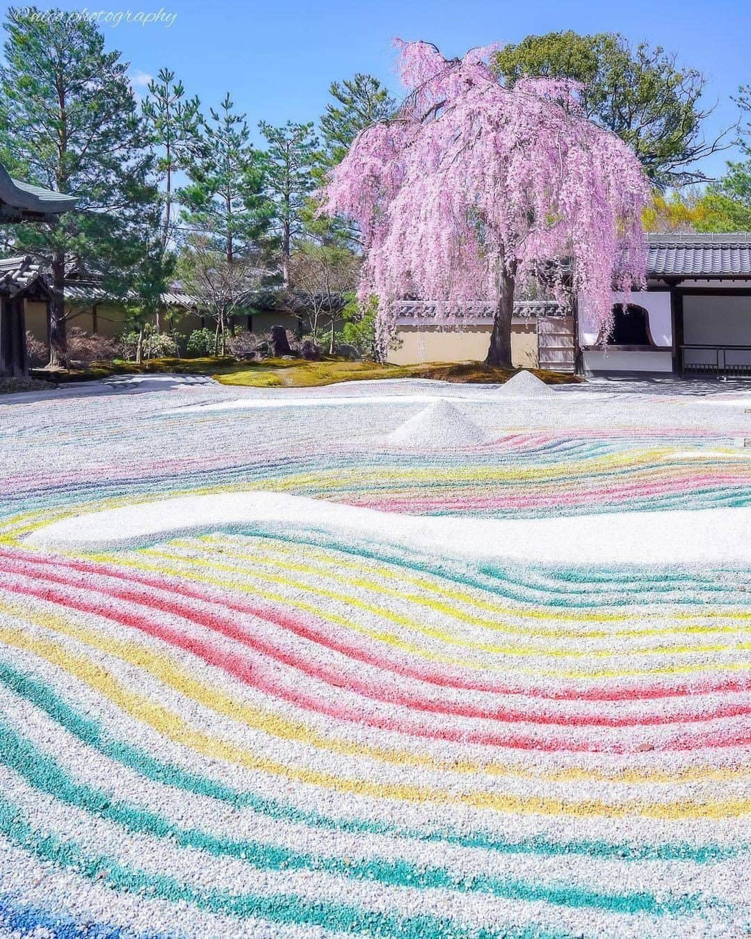 のインスタグラム：「#高台寺 太閤秀吉の菩提を弔うために、正室・北政所ねねが建立。 家康も手伝い壮麗な寺院になったが火事に遭い今は開山堂等が残っています。 春に見れる枯山水式の方丈前庭「波心庭」のシダレザクラが人気です。 . . ━━━━━━━━━━━━━━━ 📍 京都府「高台寺」 📷 photo by @nico__0205 📅 2020.03 ━━━━━━━━━━━━━━━ 📎 【 #じゃらんおすすめ_関西 】 おでかけの参考に、ピックアップしたお写真をエリア別でまとめました！ ━━━━━━━━━━━━━━━ . . #jalan_travel　をつけていただいた中からpick upしました🔍 素敵なお写真をありがとうございました😍 . . ☑ 新型コロナウイルス感染症拡大防止の観点から、各自治体により自粛要請等が行われている可能性があります。ご利用の際には、あらかじめ最新の情報をご確認ください。また、感染拡大の防止に充分ご配慮いただくようお願いいたします。 ☑ #jalan_travel をつけて、ぜひ今までの旅行先の思い出写真を投稿してください。このアカウントでご紹介させていただきます。(じゃらんニュースでも紹介される可能性があります） . . . . . . #いつかまた行きたい #いつか行きたい #kyoto #京都 #関西 #庭園 #じゃらん #観光 #観光地 #観光スポット #旅行 #旅行好きな人と繋がりたい #旅行好き #写真好きな人と繋がりたい #ファインダー越しの私の世界 #Japan #travel #travellers #trip #jalan #japantravelphoto #japantrip #japantravel #jalan_pink」