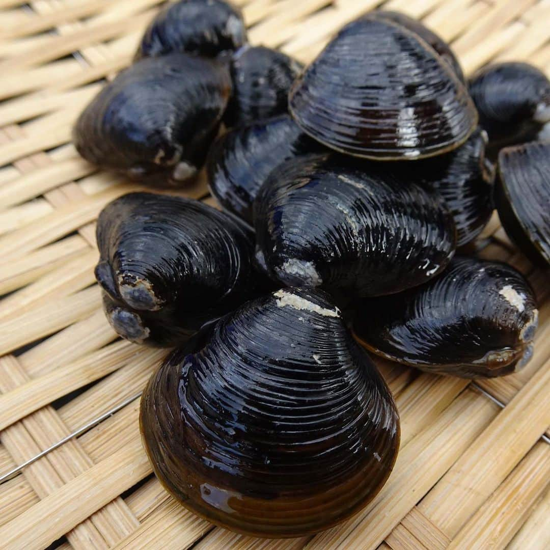 あおもり 食のコミュニティのインスタグラム