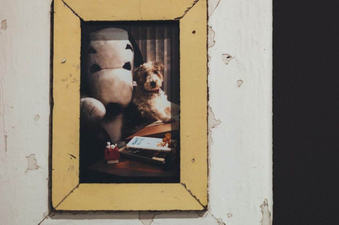 SNOOPY MUSEUM TOKYOのインスタグラム：「#snoopymuseumtokyo #schulzmuseum #snoopy #スヌーピーミュージアム #スヌーピー #スヌーピーときょうだい #snoopyandhissiblings」