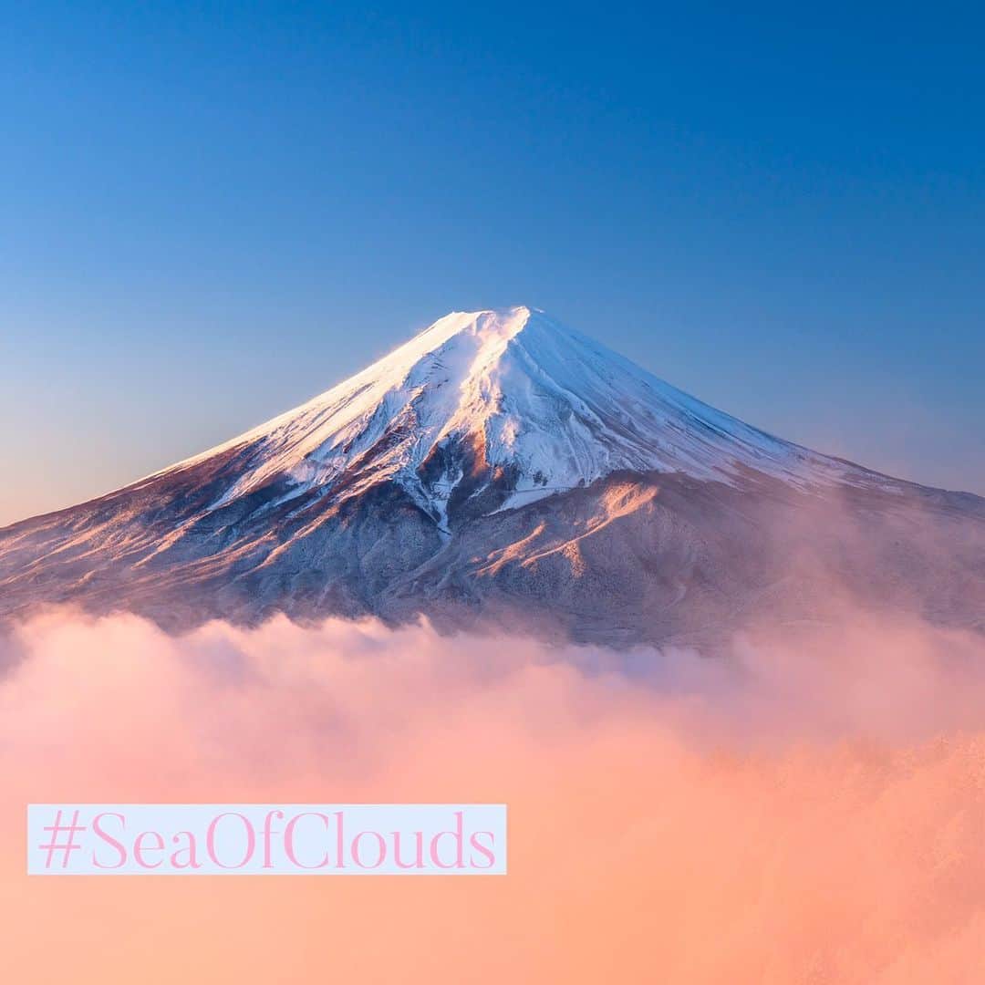 Skyticket.jpさんのインスタグラム写真 - (Skyticket.jpInstagram)「⠀ 見たら幸運に？激レア絶景富士山。 ⠀ 1年中、いつでも美しい、日本一の山・富士山ですが、1年の中でも現れるのが極めて稀な富士山をご紹介します！ ⠀ ①虹×富士山 富士山の近くに虹がかかる光景 photo by 📷 NISH / PIXTA(ピクスタ) ⠀ ②パール富士 富士山の山頂に満月がかかった光景。 photo by 📷 NISH / PIXTA(ピクスタ) ⠀ ③雲海×富士山（浮き富士） 雲の上に山頂が浮いているように見える光景。 photo by 📷 まちゃー / PIXTA(ピクスタ)　雲海 ⠀ ・ ・ ▼旅先の絶景やおすすめ写真を大募集📷 #skyticketrip を付けた投稿はストーリーズでご紹介させてください🌈⠀ 静岡県へ旅行するなら「静岡旅行×スカイチケット」で検索✈ ⠀ #富士山 #富士山🗻 #富士 #色んな富士山 #東京カメラ部 #富士山の日 #今日の富士山 #静岡 ##fujisan #fujisan🗻 #mtfuji #fuji #shizuoka #jp_gallery #loves_nippon #ig_japan #japan_daytime_view #art_of_japan_ #visitjapanjp #私の山フォト #日本の風景 #lovers_nippon #naturelovers #landscape #landscapephotography #skyticket #スカイチケット」2月24日 18時30分 - skyticket.jp