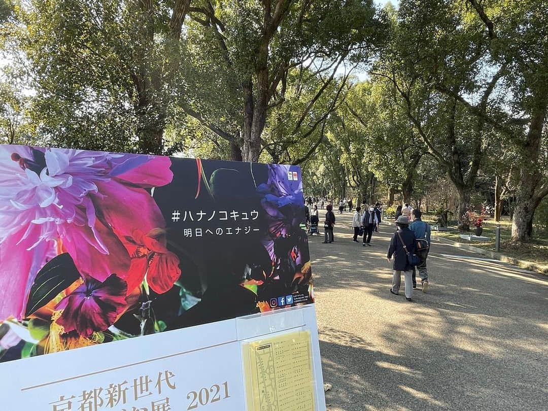 いけばな池坊さんのインスタグラム写真 - (いけばな池坊Instagram)「＊﻿ ﻿ 京都府立植物園🪴にて、京都新世代いけばな展 2021 が開催されました！﻿ ﻿ 若手華道家の育成と華道振興を目的に開催されている展覧会。﻿ 池坊をはじめ、30流派から44作品が並びました。﻿ ﻿ 植物園の自然の中の、いけばな、いつもの雰囲気とは違って素敵で、お散歩に来られた方にも楽しんでいただきました✨﻿ ﻿ 春の訪れを感じさせる作品が多く、 ワクワクする気持ちに☺️🌸﻿ ﻿ 感染対策しながら、それぞれの形で花をいけて、楽しみましょう！﻿ ﻿ ﻿ #池坊 #いけばな #華道 #いけばな池坊﻿ #京都 #京都府立植物園 #植物園 #新世代 #新世代いけばな展 #ハナノコキュウ #明日へのエナジー #若手 #自然 #コラボ #展覧会 #withコロナ #花をいけよう #春 #ワクワクが止まらない #散歩  #スイートピー #桜 #菜の花 #春の花 #花が好き  #ikenobo #ikebana #ikebanaforpraying #japaneseculture #kyoto﻿ ﻿ ﻿」2月24日 18時32分 - ikenobo550