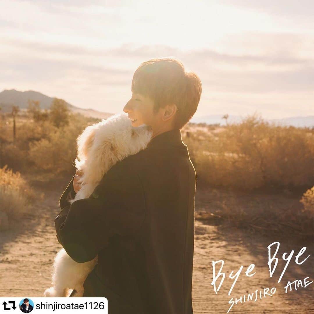 TOMO のインスタグラム：「與君の新曲「Bye Bye」を今回は音楽の方をプロデュースさせていただきました！友人と書いてくれている所に感動しています泣　LAで與君が、違う新曲を聴かせてくれて、その時ふと與君に合う曲を何か作れたらなと思って、 デモを送ったらすぐ気に入って一緒に制作する事になりました。久しぶりに曲を作ったけど、こんなに楽しい、素敵な時間を共有出来て幸せでした。MVの監督は @tatsuaki_no1 さん。皆さん是非チェックして下さい。#works #musicproducer #aaa #與真司郎 #ataeshinjiro #shinjiroatae #repost @shinjiroatae1126 ・・・ 本日(2/24)の18時に新曲「Bye Bye」のMVがYouTubeにて公開されました！！   配信は、明日(2/25)からです！   「Bye Bye」は天国に旅立った愛犬・フウとライ、大切な祖父母を想いつくった曲です。  話を聞いてくれた友人が作曲を、 そして作詞は僕と友人とで一緒に仕上げました。  たくさんの感謝と愛を込めて作らさせていただいたので、多くの方に聞いていただきたいです。  別れは誰にでもあるかもしれないけど、 その時にこの曲が少しでもみなさんの力になってくれたらいいなと思っています。  僕にとっても、本当に本当に大切な1曲になりました。  #與真司郎  #SHINJIROATAE #THISISWHEREWEPROMISE #完全受注生産限定盤  #受注期間は2月26日昼12時まで #受注終了まであと2日 #ByeBye  #2月25日配信スタート」