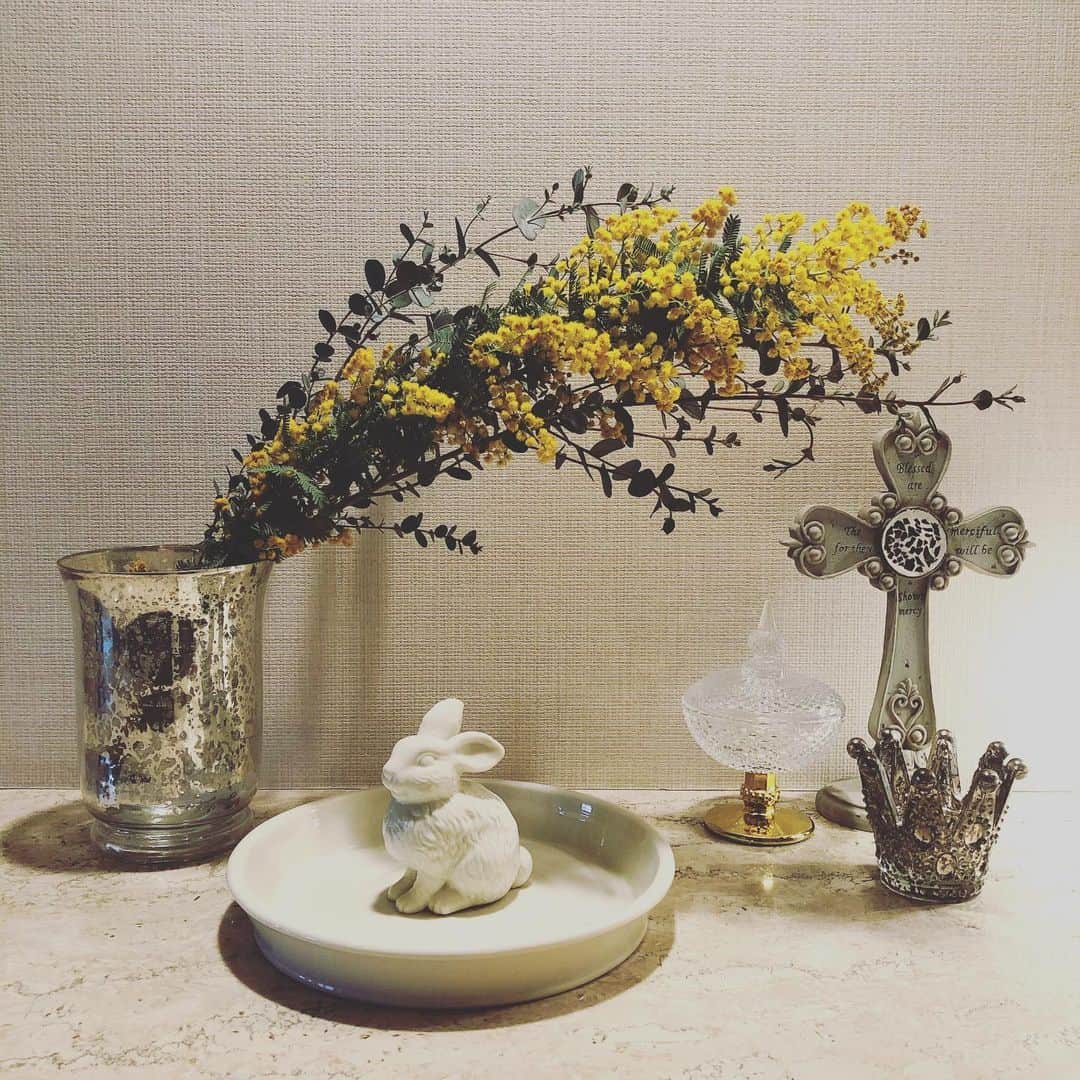 千秋さんのインスタグラム写真 - (千秋Instagram)「ミモザの季節🌼  あんなに無関心だったお花と器に、ここ数年俄然興味が出てきたのは、つまりそういうことだろう。  #ミモザ #器 #千秋インテリア」2月24日 19時02分 - chiaki77777