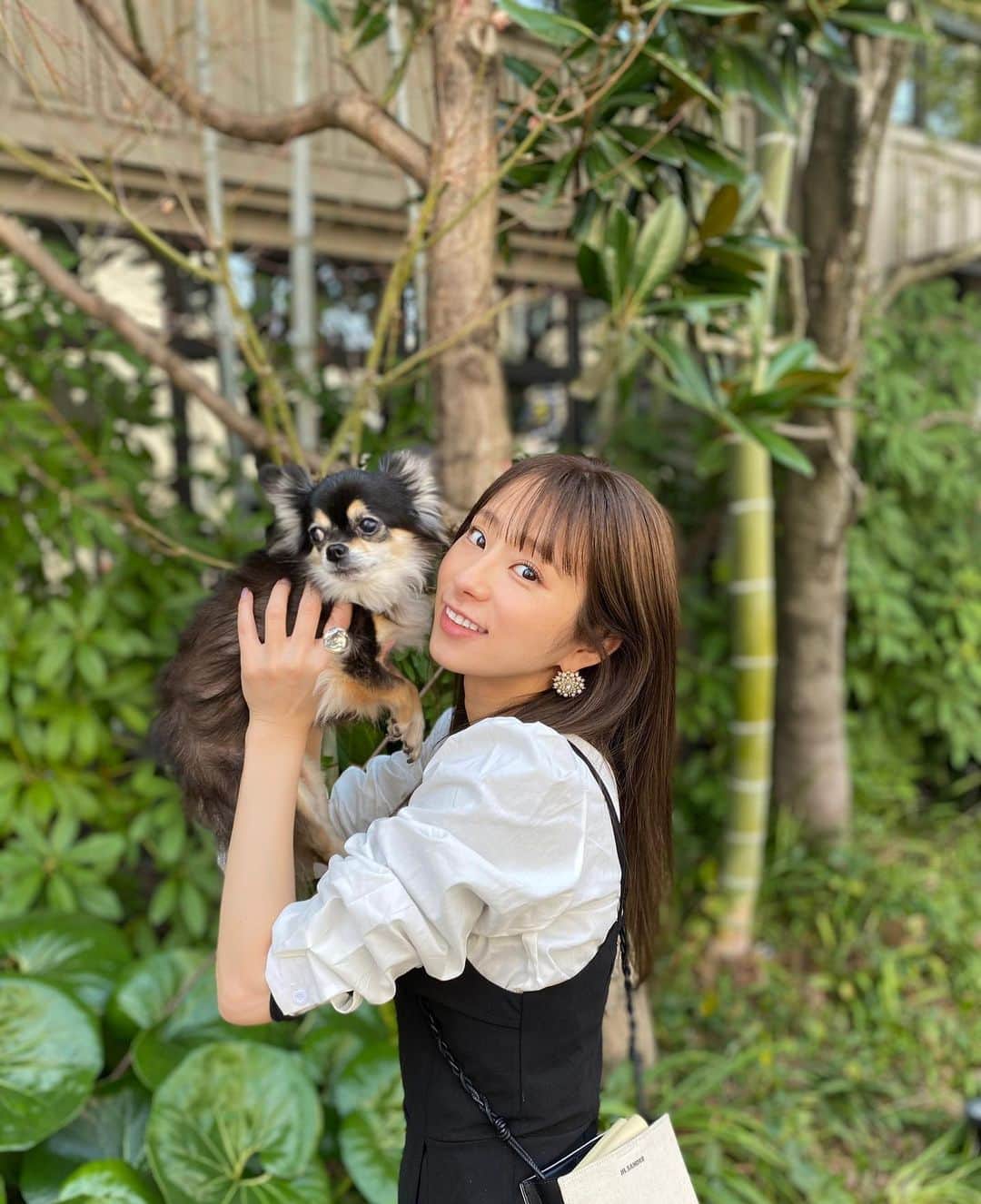 前田ゆうのインスタグラム：「あったかくなったかとおもったけどしかしさぶい日ふっかーつ🕵🏻‍♂️🧖‍♀️ 日陰とヒナタがぜんぜん温度ちがうからずっとポカポカヒナタをあるいていたくなる😄💕🐶  しかし春先取りしたいのにヒートテック丸見えです😂🥲👏🏻  #ポートレート　#愛犬家  #チワワ  #ちわわ親バカ部 ←しかしこれどーやったら部員になれるの？！笑」