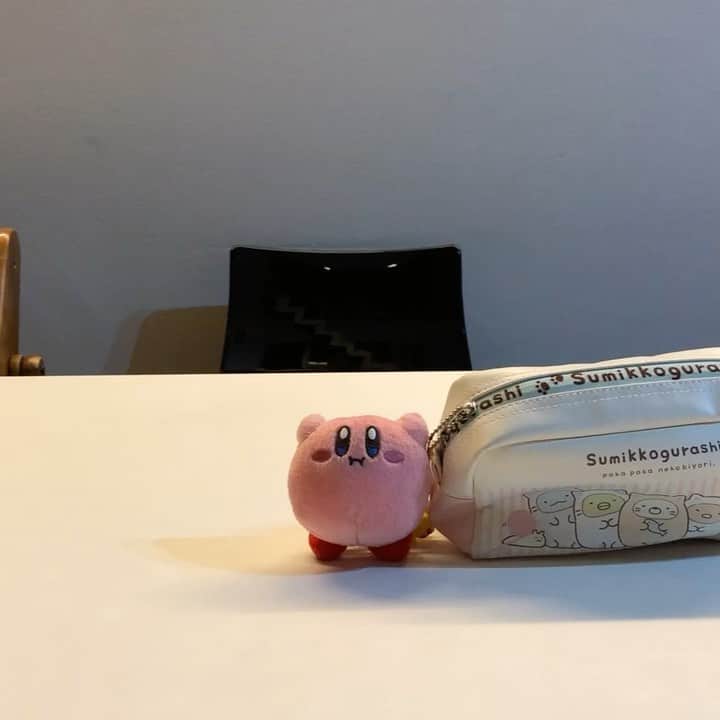 GEN3 Owlのインスタグラム：「吸い込めない強カービィ  Kirby is strong  #owl #owlgaru #フクロウ」