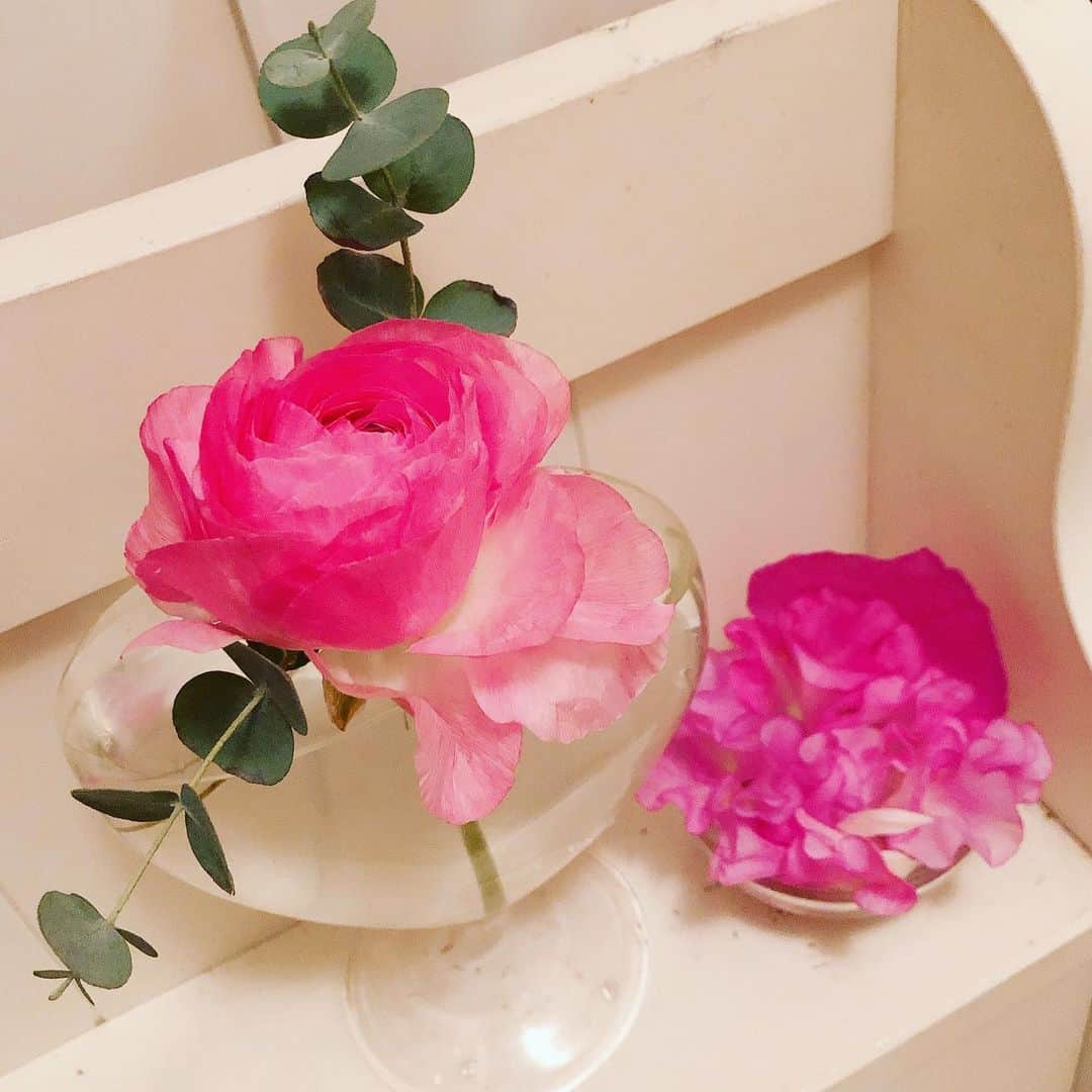 高田有紗さんのインスタグラム写真 - (高田有紗Instagram)「外も中も春陽気🌷  ブーケを少しずつ解体して、1日でも長く花が生きれるよう、花瓶にアレンジメントするのがすごい好き。  まりちゃんからの🎁✨はアイマスク! もっと早くこの良さに気づけばよかった〜笑 移動の時も重宝しそう♡  今度改めて載せまーす🥰  #春　#花好き　#フラワーアレンジメント」2月24日 10時53分 - arisatakada.album