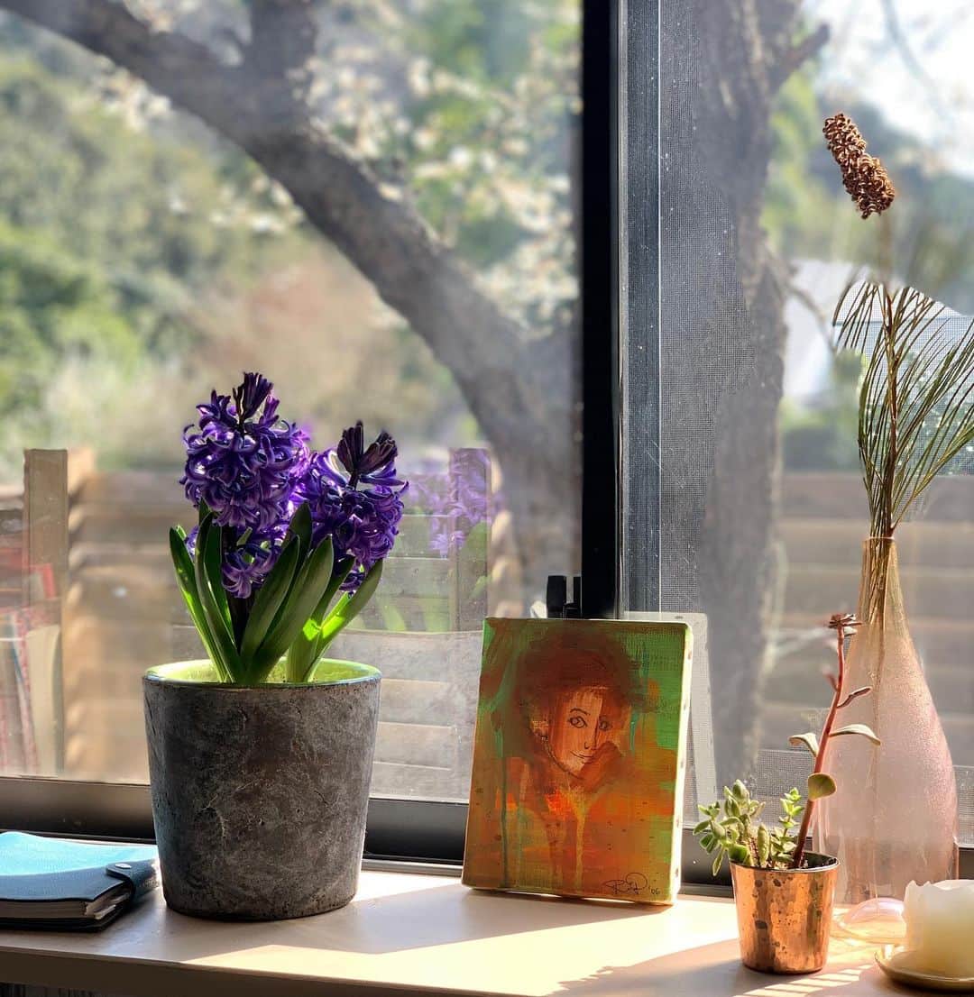 クリス智子さんのインスタグラム写真 - (クリス智子Instagram)「おはようございます。 寒いけど、いい光。 ヒヤシンス、力強く咲く安心感。  右の植物（ピンクのガラスに入ったの）は、葉と花の部分が逆に伸びて踊っている感じも含め、雰囲気が好きで、ドライにしようと飾っていますが、さて、なんという花だったか... お花屋さんに今度行ったら聞こうかと。どなたかご存知でしたら..  中央に飾ってある絵は、ずいぶん 前に、Rie fu ちゃん　@riefuofficial  が描いてくれた、 私です。ちょっと若い私ですね。 とても好きで、大事にしている一枚。  さて、今日も向かっています。13時から生放送 @good_813jwave 😊  今日は、畳とラグ！ 聴きどころ色々👂✨  よろしかったら、聴いてくださいね〜」2月24日 10時47分 - chris_tomoko