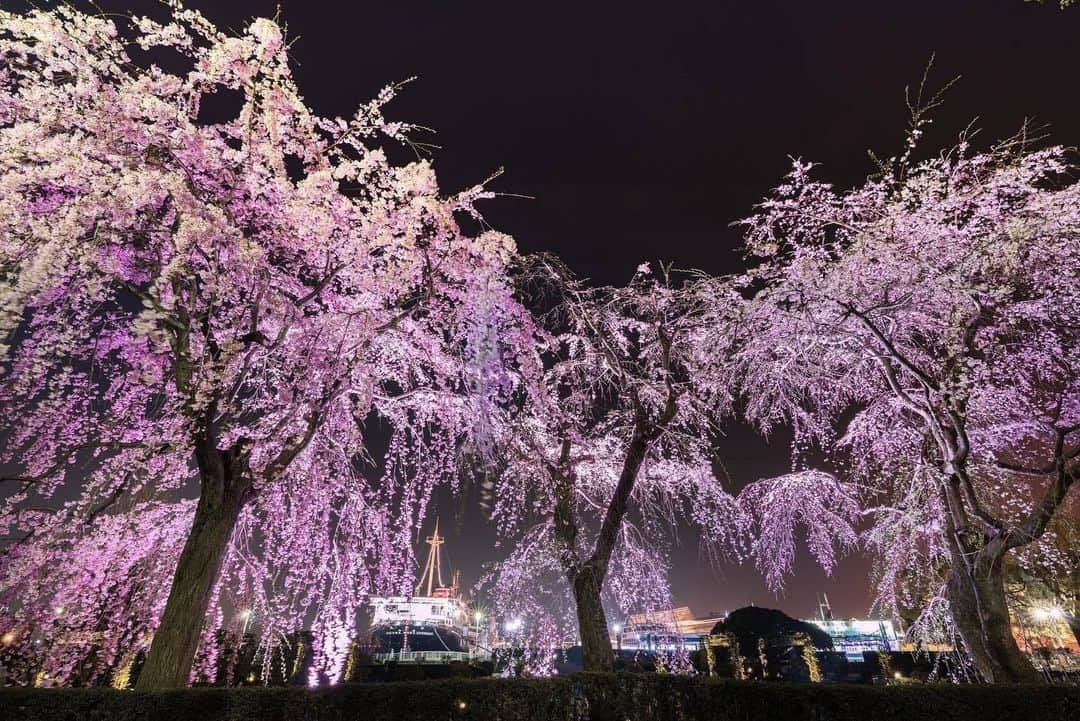 東京カメラ部 横浜分室のインスタグラム