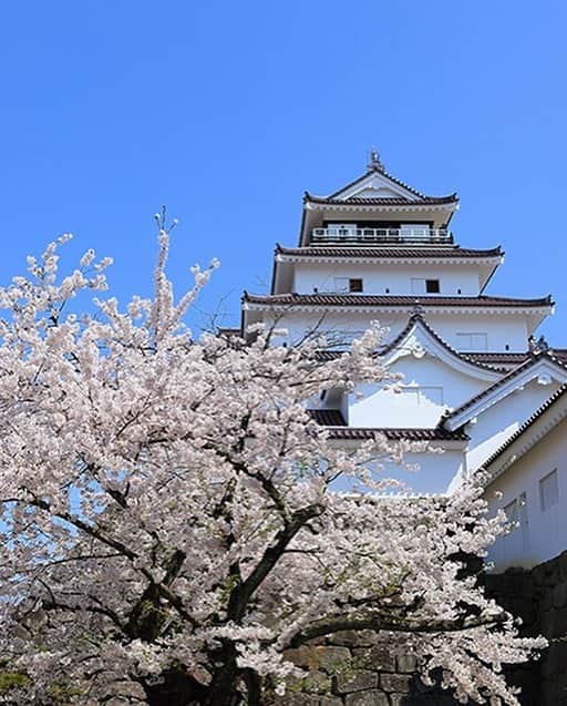 Rediscover Fukushimaのインスタグラム
