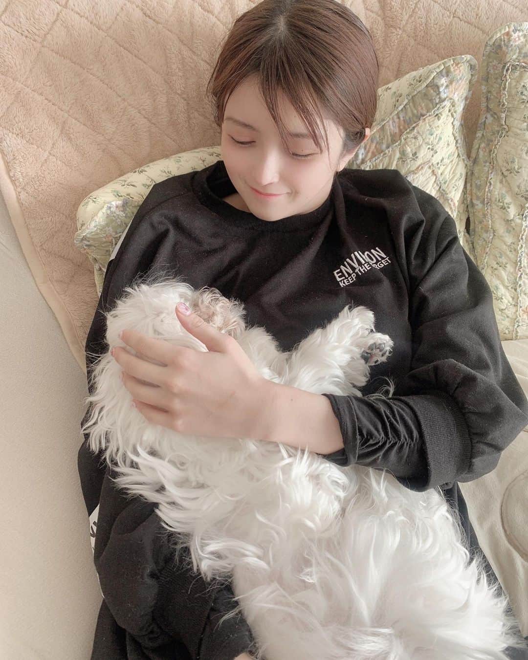 佐倉みきさんのインスタグラム写真 - (佐倉みきInstagram)「癒し🐶　  #犬 #dog #ワンワン」2月24日 11時32分 - sakura_miki96