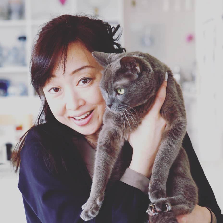 川上麻衣子のインスタグラム：「猫検定中級の私も応援とご協力をさせて頂いている「にゃんこゼミ」。 とても素敵な企画です。猫ちゃんを愛する多くの方にご参加頂けたら嬉しいです。よろしくお願いします。  https://www.kentei-uketsuke.com/neko/seminar.html」