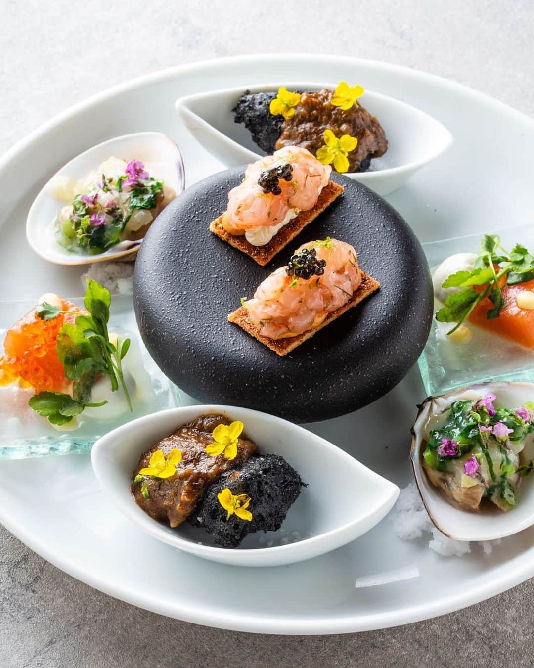 ステラートのグルメインスタ