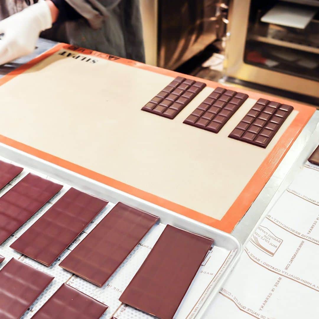 ダンデライオン・チョコレート・ジャパンのグルメインスタ