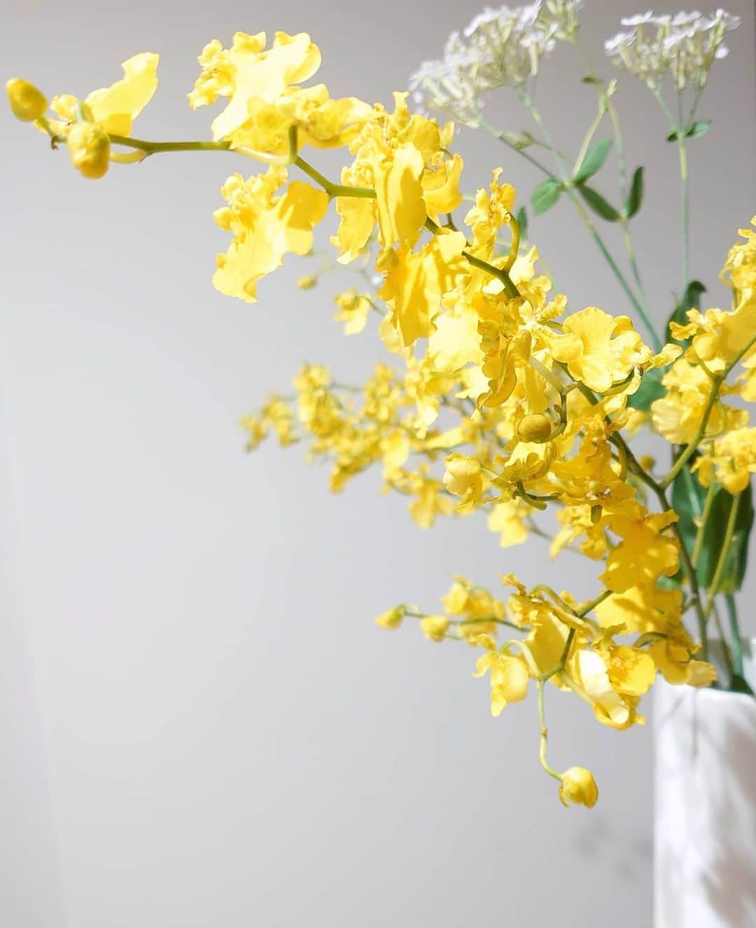清水優美のインスタグラム：「💛🍋🐥  部屋がぱっと華やいだ＾＾  黄色いお花、 気持ちも明るくなる♡  午後もがんばろう!☺️  ＊」