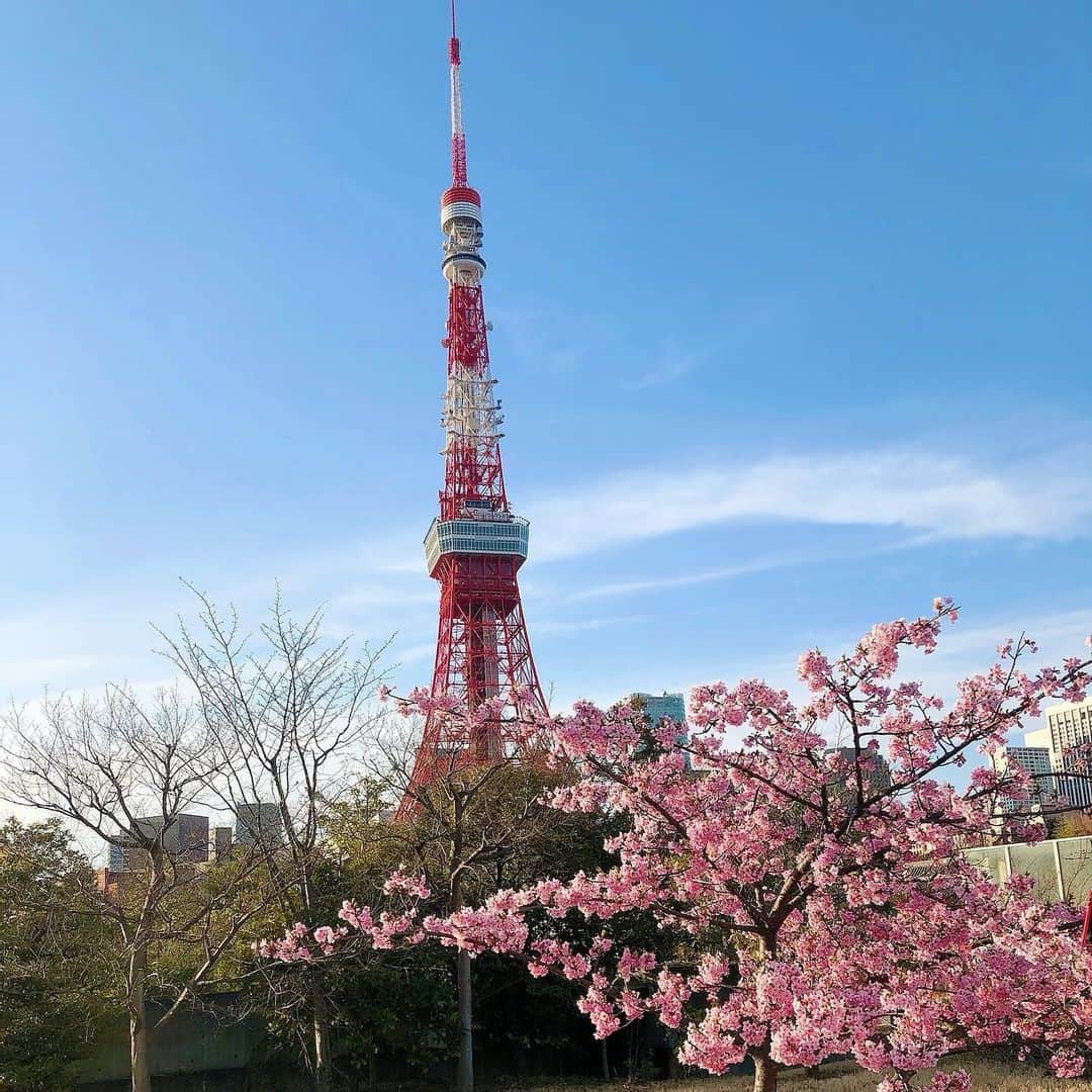 加藤美佐子さんのインスタグラム写真 - (加藤美佐子Instagram)「久しぶりの芝公園🥰  東京タワーはいつ見ても元気もらえる🗼💓  オーガニックサラダ🥗で お腹も膨らむ  いつ会っても笑が絶えない 娘の様なまどかちゃんと🥰✨  #東京タワー #芝公園 #薔薇公園 #桜と東京タワー #ランチ #オーガニック #サラダ #🥗 #🌸 #tokyo #sakura」2月24日 12時10分 - misako.kato