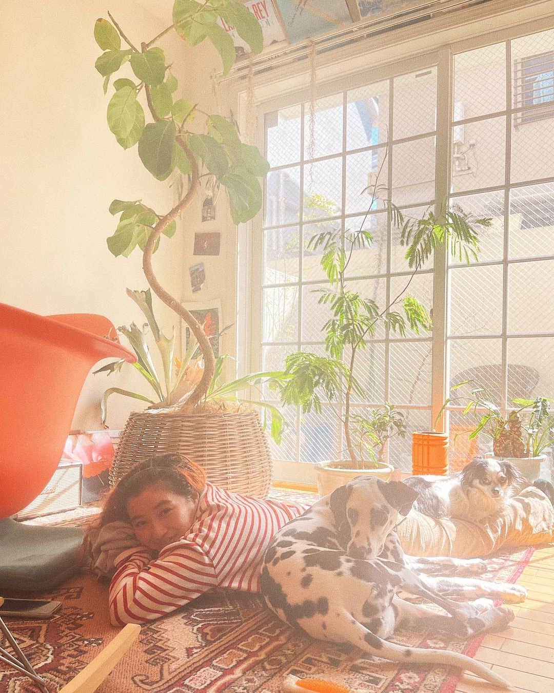 浜本忠勝さんのインスタグラム写真 - (浜本忠勝Instagram)「Chilling at home 🏡 ☀︎ ✴︎ 20代最後の日々を家族で過ごせて幸せですね🐼♡ いい天気だと眠くなりますね🌞🌿」2月24日 12時13分 - whyte_hamamoto