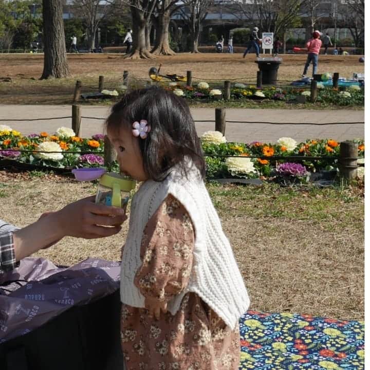 二條満月のインスタグラム