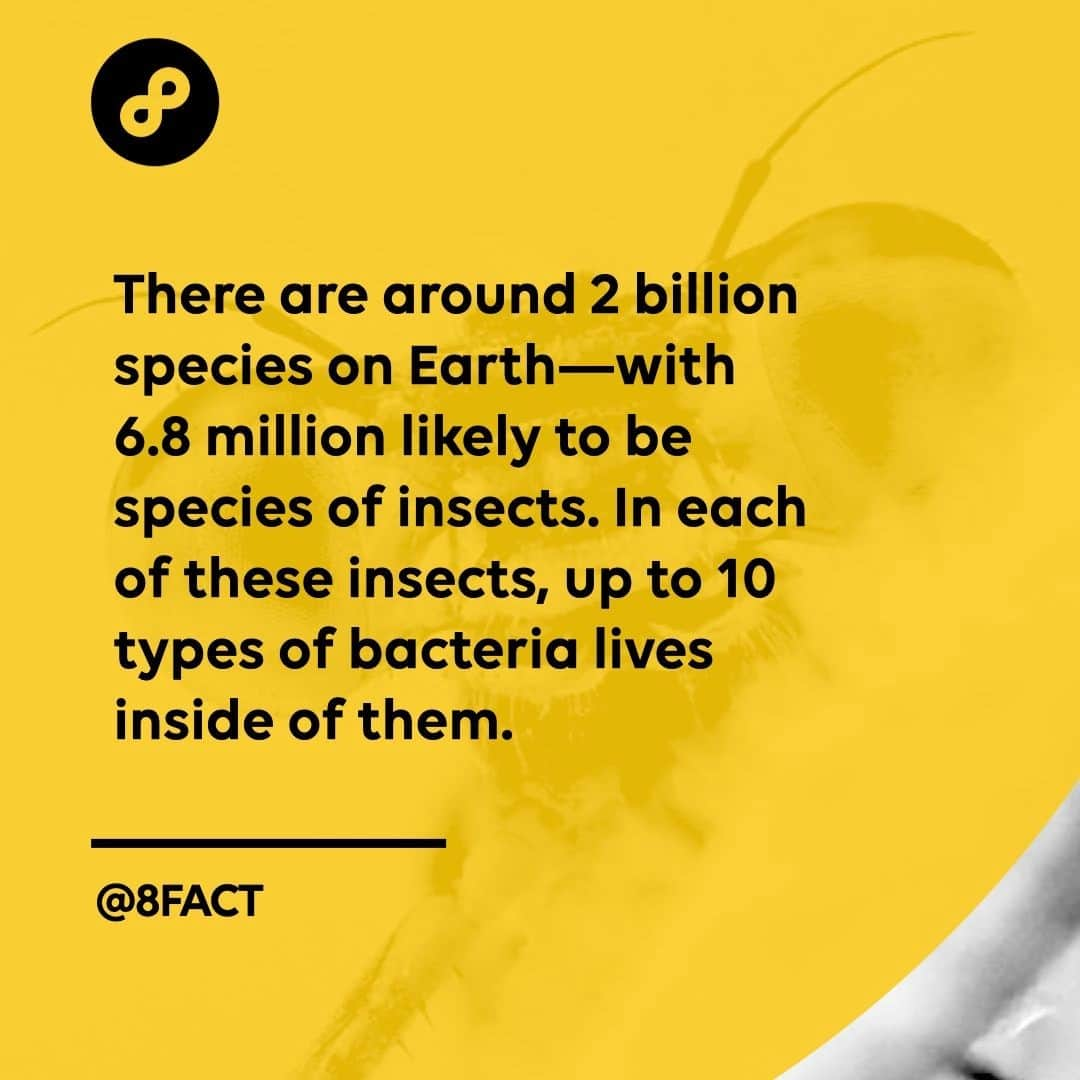 さんのインスタグラム写真 - (Instagram)2月24日 12時33分 - 8fact