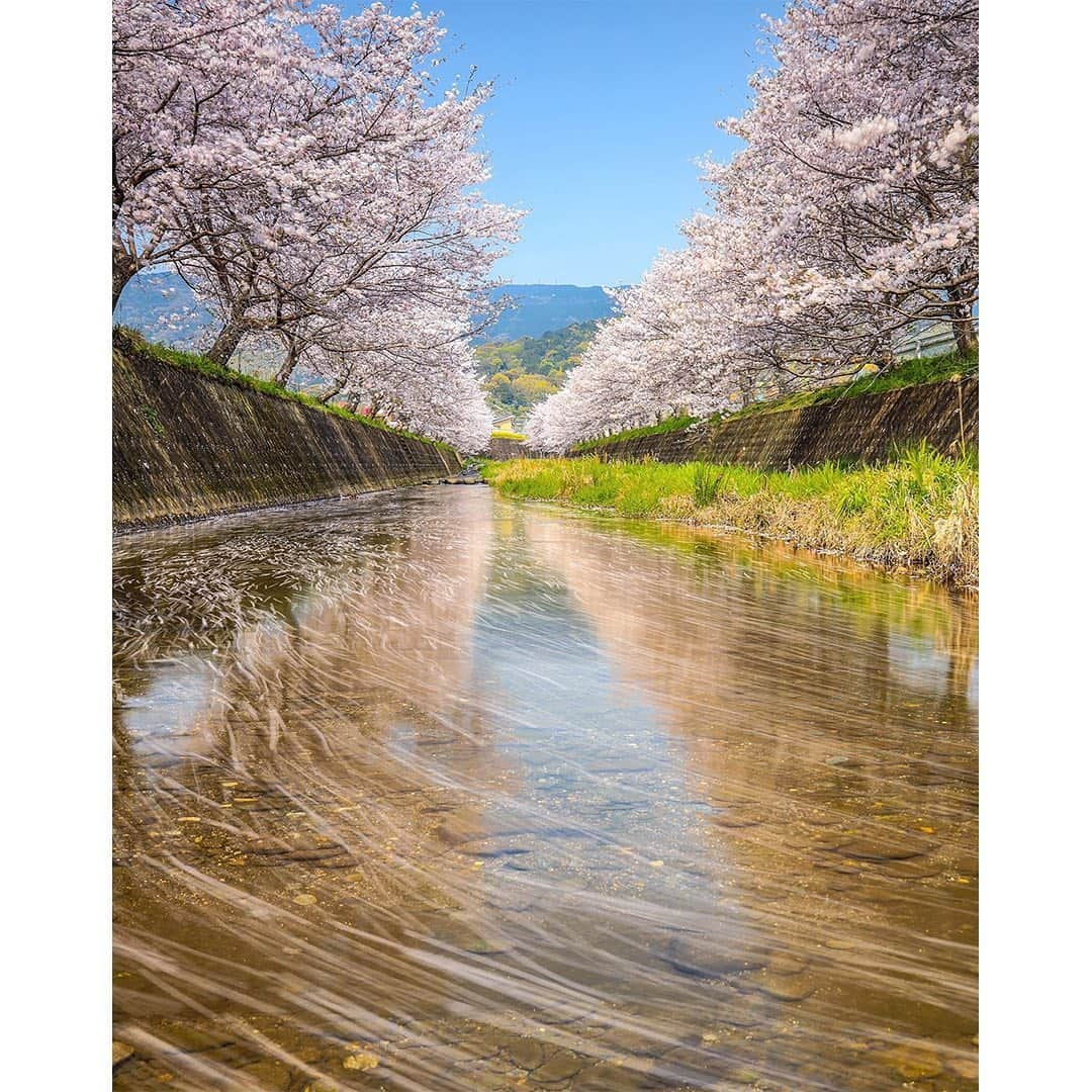 福山雅治さんのインスタグラム写真 - (福山雅治Instagram)「#長崎フォトフェスティバル2020 #NagasakiPhotoFestival2020 #photocity_nagasaki  〈受賞作品〉 Takahiro.t8653さん「長崎市住吉町」 廣瀬 健司 (takeshigram)さん「五島市岐宿町岐宿239番地　巖立神社」 高江Takaeさん「長崎市常盤町　水辺の森公園」 samidare0314さん「長崎市　長崎県美術館」 川浪 義光さん「西海市崎戸町」 村井 文明さん「長崎市琴海戸根町」 rinda.0108さん「長崎市　稲佐山山頂展望台」 山中 俊樹さん「長崎市　浜の町アーケード」 西川 裕子さん「長崎市　風頭公園」 吉谷 功輝さん「長崎市以下宿町付近　夫婦岩前駐車場」  @photocity_nagasaki  ▼長崎フォトフェスティバル2020特設サイト https://nagasaki.tokyocameraclub.com/contest2020/」2月24日 12時48分 - masaharu_fukuyama_official