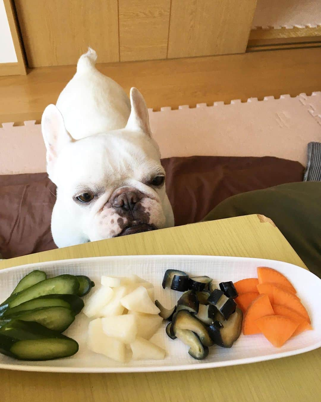 ちえぶぅたさんのインスタグラム写真 - (ちえぶぅたInstagram)「ぬか漬けに白飯、あと味噌汁があれば最高。」2月24日 12時54分 - chiebuuta