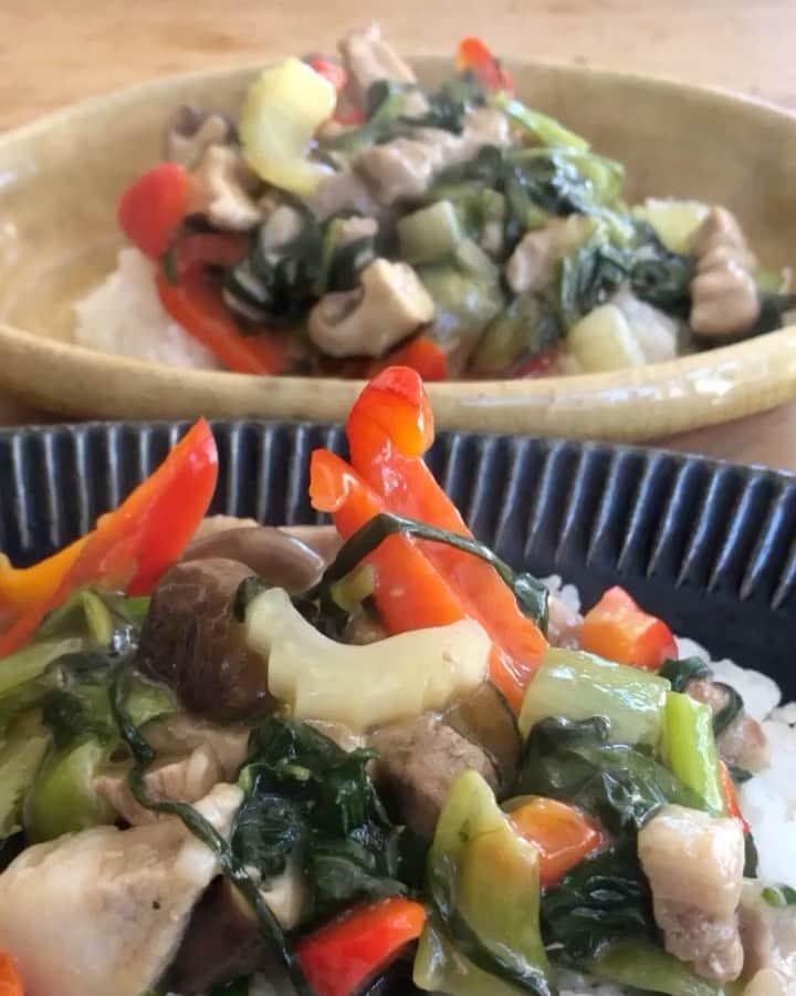 黄川田としえのインスタグラム：「ライボーイがお昼を作ってくれましたー！  ライボーイが緊張すると普段しないようなことしそうで怖いから😂「見てる人ゼロだよ」と言いましたが、 お昼時にいきなりはじめたインスタライブ、たくさんの方が見に来てくださいました。ありがとうございました！  ライボーイのファンだとコメントくださった皆様ありがとうございます。 リアルタイムのコメントはアーカイブで見れないのかと（見れません😂）ライボーイが探しております。ライブ中めっちゃ嬉しそうでした！  たったあれだけでしたが、今日はもうやりきった感満載です😂。  とにかくライボーイが作ってくれた「豚肉と野菜のオイスターソースあんかけ」（あやうくオイスターソース忘れ）とっても美味しかったです。 ご飯もつやつやに美味しく炊けてました！  エプロンあきらめたり色々ありましたが、 また機会がありましたらお付き合いよろしくお願いいたします🤲  #ライボーイごはん」