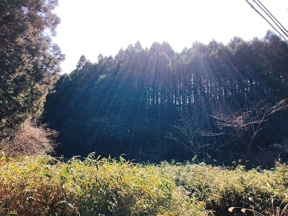 高井俊彦さんのインスタグラム写真 - (高井俊彦Instagram)「こんにちは☀️ 今日はみんなと一緒に✌ #高井トラベル #奈良パワースポット巡り  #SHOROOM 配信ツアー⛩️👏✨  本日のスポット••• #天岩立神社 #奈良 #奈良市 #東部 #柳生 #一刀石 #鬼滅の刃 #炭治郎 #足の長さ短治郎 #限界ジャンプ  届け‼️‼️‼️‼️‼️‼️ パワーーーーーーーーーー🌊🌊🌊🌊🌊🌊🌊🌊🌊🌊🌊🌊🌊🌊🌊🌊🌊🌊🌊🌊🌊🌊🌊」2月24日 12時58分 - takai_toshihiko