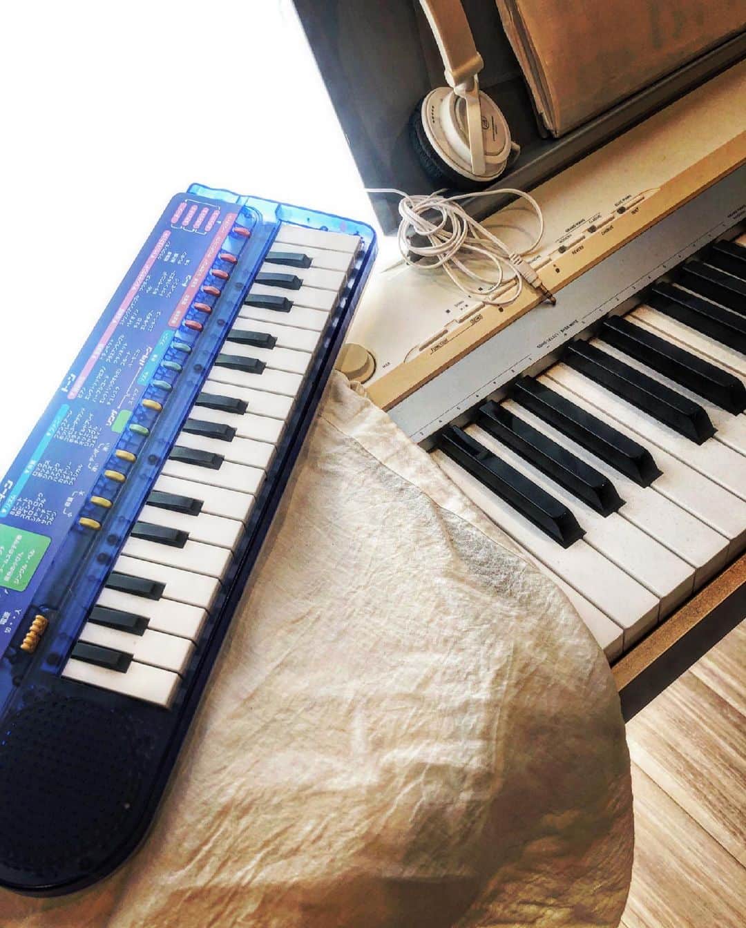 矢吹世奈さんのインスタグラム写真 - (矢吹世奈Instagram)「・ 鍵盤 on the 鍵盤。🎹 #dayoff」2月24日 13時02分 - sena_yabuki