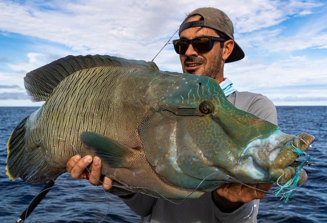 Electric_Fishingのインスタグラム：「Strike mission success... The sharks were out of control but @frothcafe2 managed to sneak in a couple fish including a new PB Wrasse🤙  📸 @biteclub_aus  #ElectricSunglasses #PolarizedSunglasses #StyleThatPerforms #ElectricFishing」