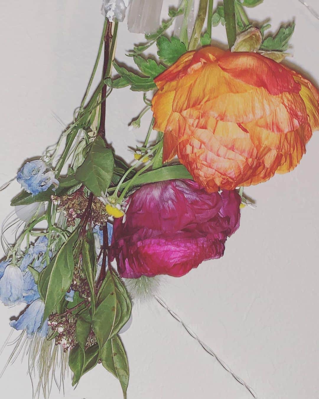 澁谷梓希さんのインスタグラム写真 - (澁谷梓希Instagram)「週2で買っているお花たちを 入れ替えるたびに ドライフラワーにしてます◎」2月24日 13時46分 - azk_s811