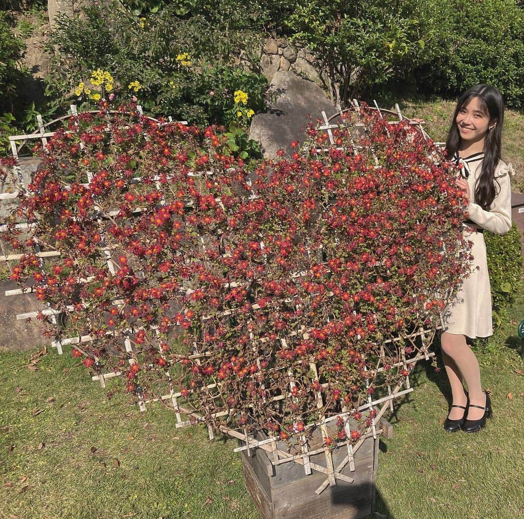 MARINのインスタグラム：「ハートのお花ちゃん🌹♥️  ・  #いつあり #相楽園 #高3 #jk #高校生 #女子高校生 #18歳 #おうち時間 #タンササ #TSS #TSSMARIN #girlsgroup」