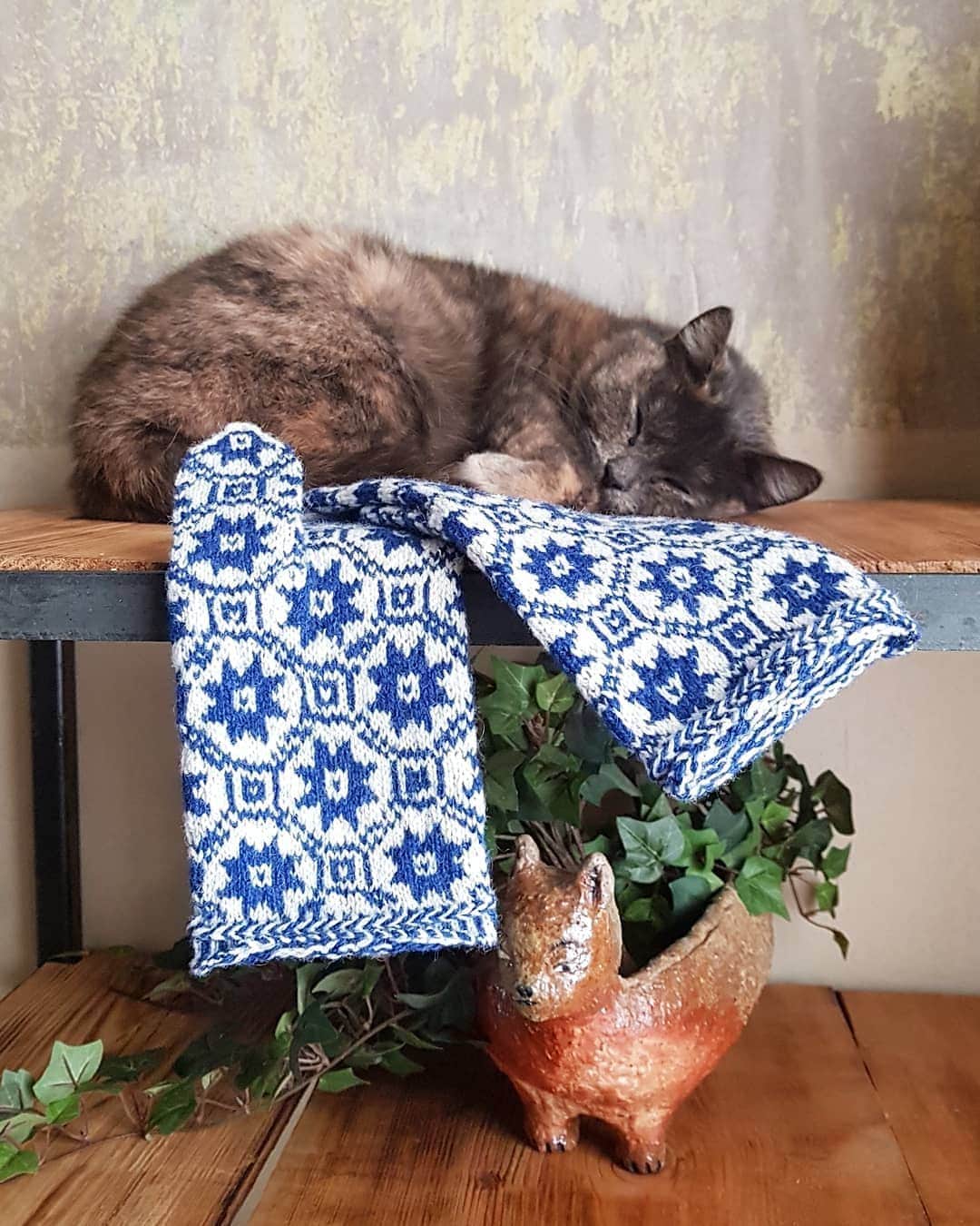 ティネスのインスタグラム：「🤫😴🐈 Sweetest dreams on Latvian mittens 💙 Order lovingly hand- knitted traditional design mittens online: WWW.TINES.LV WORLDWIDE SHIPPING」