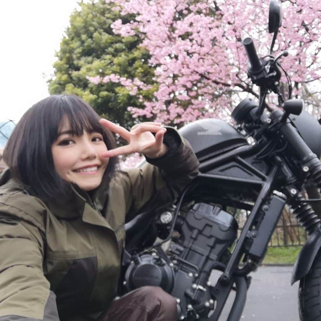 美環のインスタグラム：「レブルと旅に出とります〜🏋️👍🥳 桜咲いてたよーー！！！🌸🌸🌸🌸」