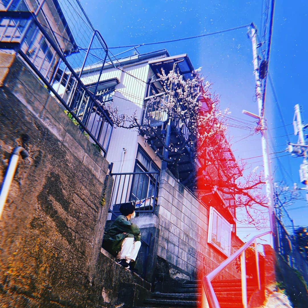 堀内将人さんのインスタグラム写真 - (堀内将人Instagram)「たまには遠回りもいいじゃない #遠回り #散歩 #コント #さんだる」2月24日 15時13分 - m7s1t_horiuchi