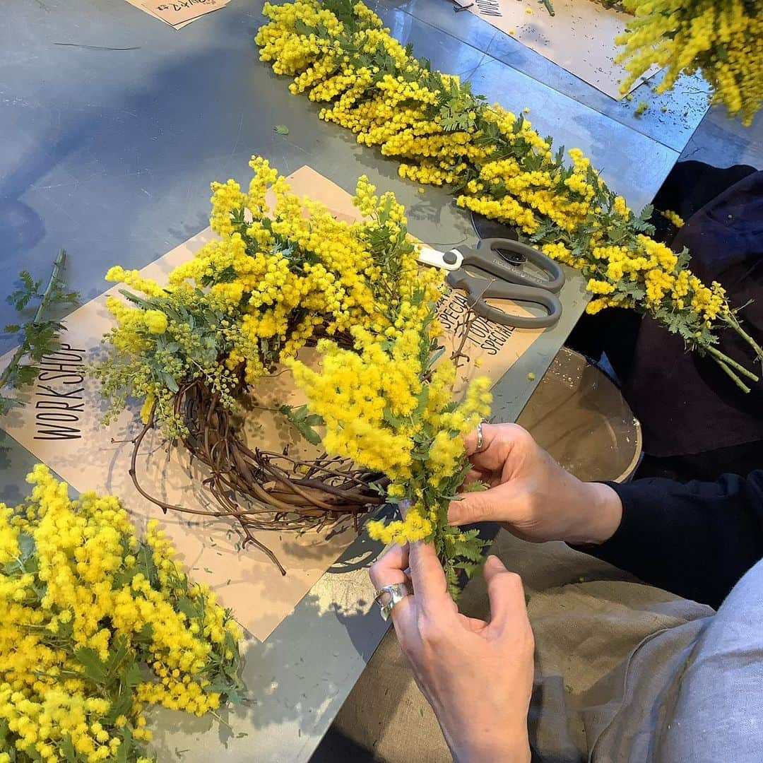 TODAY'S SPECIALさんのインスタグラム写真 - (TODAY'S SPECIALInstagram)「＜WORKSHOP-Kyoto＞ 本日京都店では、FLOWER griotte（@miyano1973）さんをお迎えし、ミモザのリースを作りました。 .  毎年大人気のミモザのリース作り。 初めての方も常連の方も楽しみながら作っておられました。 コロコロと可愛いミモザはドライになってもお家で素敵に飾っていただけます。 ひと足早く春を迎える準備ができました。  ※感染症拡大防止対策を行いながら、少人数で開催しております。  #todaysspecial #トゥデイズスペシャル #kyotobal #京都BAL #ワークショップ#flowergriotte #リース #ts_report」2月24日 15時37分 - cibone_ts