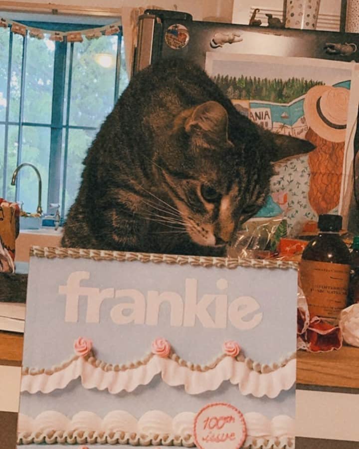 frankie magazineのインスタグラム