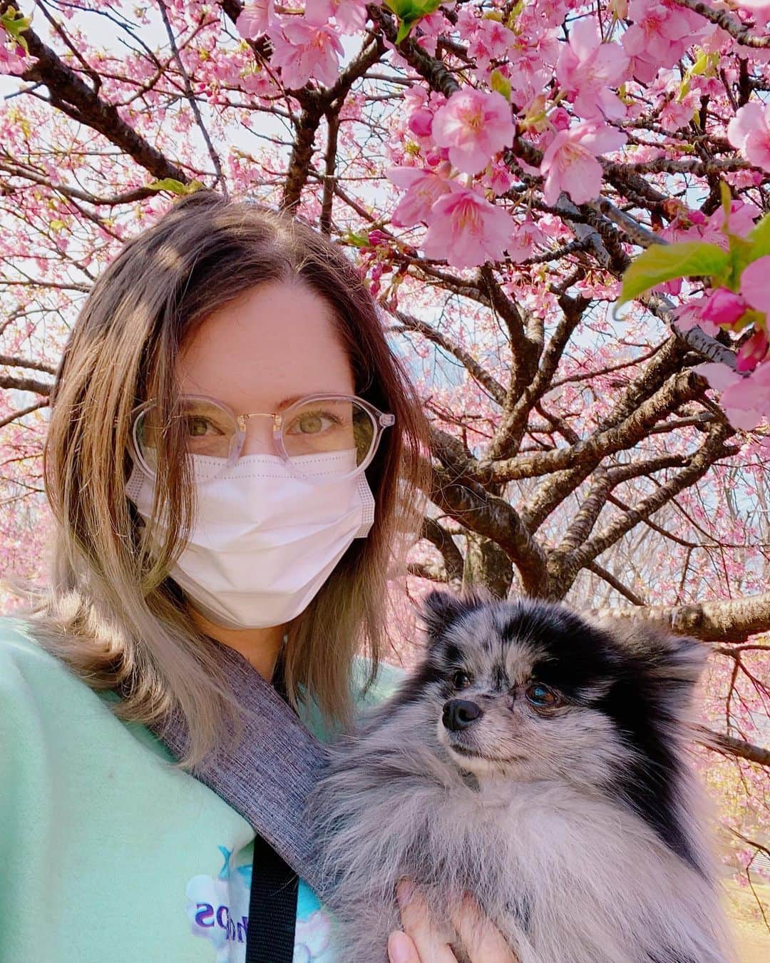 mimeiのインスタグラム：「幸せ☺️🌸🐶💕」