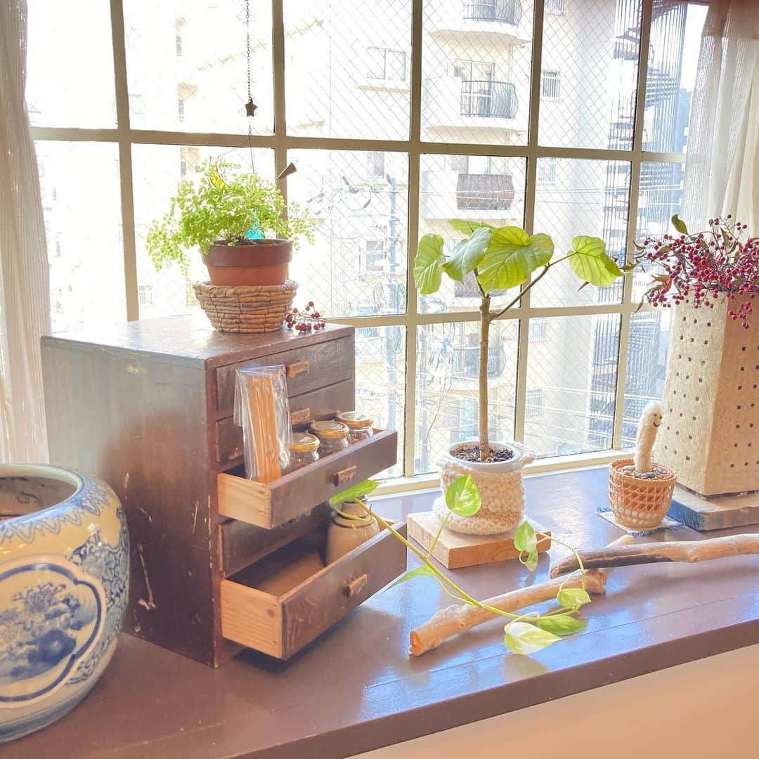 金村慎太郎〈hair+cafe〉さんのインスタグラム写真 - (金村慎太郎〈hair+cafe〉Instagram)「﻿ ﻿ 今日はサロンを飛び出して、﻿ 大阪の緑地公園にある﻿ happy birdさんのアトリエへ﻿ 出張教室をさせていただきました🤗﻿ ﻿ ﻿ ﻿ 衛生管理を徹底されているので、﻿ とても安心して教室を実施することが﻿ できました♪﻿ ﻿ ﻿ ﻿ ご参加いただき﻿ ありがとうございました🤗﻿ ﻿ ﻿ ﻿ ▷▷▷﻿ ・なぜ美容室で酵素をするに至ったのか？﻿ ﻿ ・酵素と髪質の関係とは？﻿ ﻿ ﻿ など、始めにお話させていただき﻿ お客様にも理解していただいた後、﻿ ﻿ ﻿ 酵素のお勉強を経て実習に入ります♪﻿ ﻿ ﻿ ヘアーでお越しのお客様へも﻿ 試食や試飲をご提供させていただいて﻿ いるので、お気軽にお声掛けください♪﻿ ﻿ ﻿ ﻿ ◻︎1day酵素ジュース作り教室◻︎﻿ ﻿ 2021年3月の日程→﻿ ﻿ ☆開催日程﻿ 3月10日 （水）10時〜﻿ 3月17日（水）10時〜﻿ 3月24日（水）10時〜﻿ ﻿ ☆受講料金﻿ 90分/6,600円（税込）﻿ 受講料金はご参加当日にお持ち下さい。﻿ テキスト、ボトル、材料費込みです。﻿ 各種クレジットカード、QR決済ご利用可能です。﻿ ﻿ ☆申込方法﻿ DMにて「教室参加」とメッセージをお願い致します。﻿ もしくはお電話、﻿ プロフィールの公式LINEからも﻿ お申し込みできます。﻿ ameiro📞06-6152-8308﻿ ﻿ ☆定員﻿ 1回の教室でお二人のみとなっております。﻿ ﻿ ﻿ ぜひお友達をお誘いして﻿ ご一緒に楽しみに来て下さい♪﻿ ﻿ ﻿ 気になる方は一度ご連絡下さいね♪﻿ ﻿ ﻿ ﻿ ➡︎髪質改善はカラダの健康から！﻿ ﻿ ﻿ 当店の酵素ドリンクはすべて試飲できますので、カラーの待ち時間などにも﻿ ぜひお召し上がり下さい♪﻿ ﻿ ﻿ ﻿ ameiro▷▷﻿ ﻿ ﻿ 髪質改善の結果でたくさんの口コミをいただき、日々美髪を生み出してます✨﻿ ﻿ ﻿ もっと何かできないか？﻿ ﻿ ﻿ 女性たちの美のために…﻿ ﻿ ﻿ 髪だけではなく、﻿ 美容のプロとして、美容師として。﻿ ﻿ ﻿ 美を維持するには、﻿ 健康がどうしてもヒモづいてきますよね。﻿ ﻿ ﻿ 髪質改善を突き詰めると、﻿ 健康なカラダを維持することにたどり着きます。﻿ ﻿ ﻿ 日本酵素マイスター協会認定&﻿ 髪質改善専門店のアメイロだからこそできる。﻿ ﻿ ﻿ 体質改善＋髪質改善✨﻿ ﻿ ﻿ *･゜ﾟ･*:.｡..｡.:*･'*:.｡. .｡.:*･゜ﾟ･*﻿ ﻿ ﻿ 💎無料カウンセリングプレゼント 💎﻿ ﻿ ▼髪質でお困りの方はプロフィールへ▼﻿ ﻿ （クリック）﻿ ﻿ @ameiro_hair ﻿ ﻿ ★ライン友達追加で﻿ 無料カウンセリングをプレゼント★﻿ ﻿ LINE ID検索→﻿ @ mmd5236z﻿ （@を必ずつけてくださいね♪）」2月24日 16時00分 - ameiro_hair