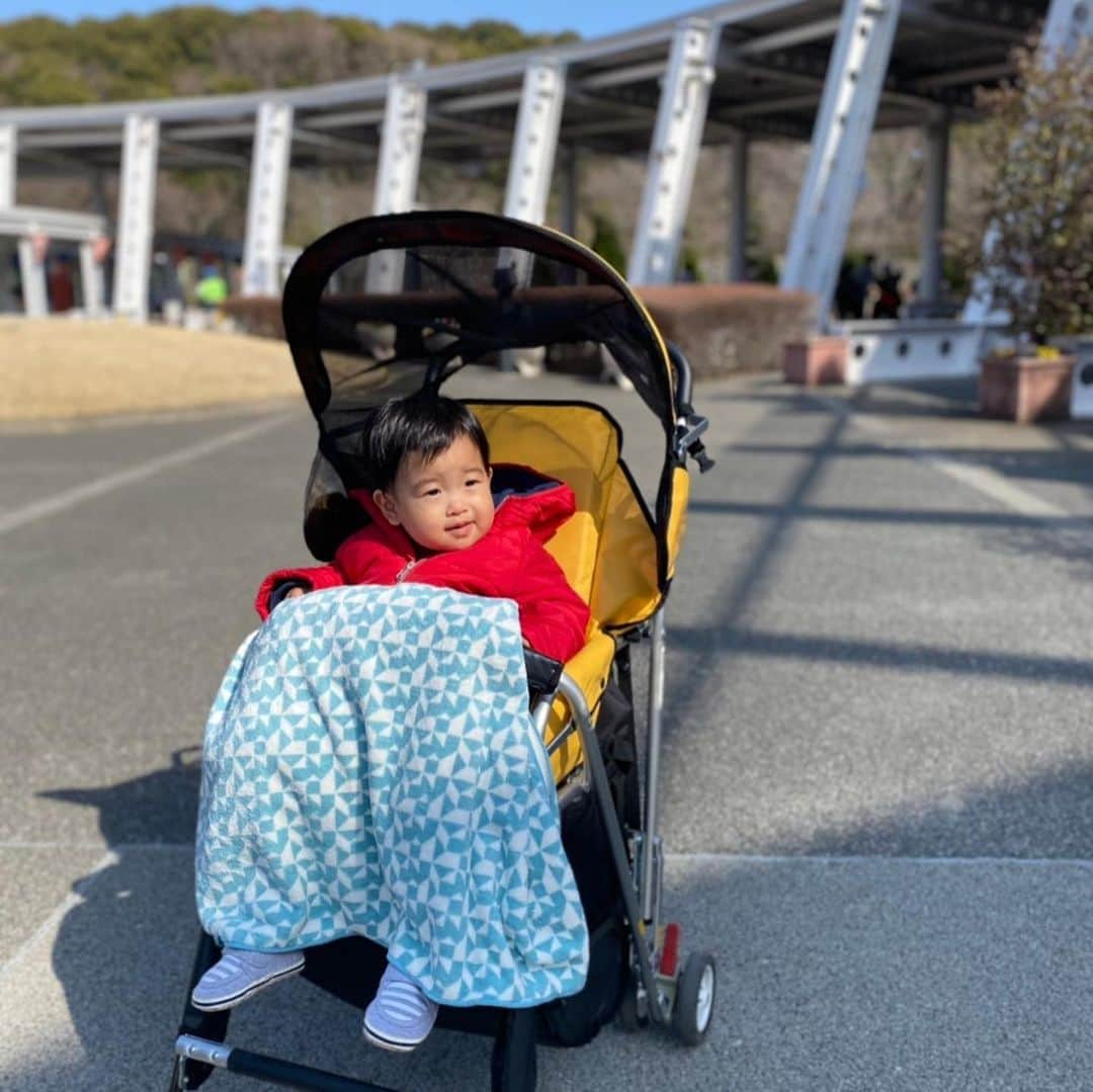 伊藤春香さんのインスタグラム写真 - (伊藤春香Instagram)「「1歳・2歳の遊び場」﻿ 情報交換したいです🙏✨﻿ ﻿ 関東近郊で1歳～2歳くらいの﻿ 子供と一緒に楽しめる場所、﻿ よかったらコメントで教えてください☺️﻿ ﻿ コロナ禍の最新情報や﻿ 行く時の注意点もあればぜひ…！﻿ ﻿ 私は﻿ ﻿ ・CULAFUL(キュラフル） @culaful ﻿ ・ズーラシア @yokohama.zoo ﻿ ・アソボ～ノ！（東京ドームシティ）﻿ ﻿ が良かった！﻿ ﻿ アソボ～ノ！は私が行った時は﻿ 感染対策でボールプールエリア﻿ 閉じてたんだけど﻿ 再開したっぽいので、改めて行きたいなぁ。﻿ ﻿ 行きたいリストに保存してた﻿ 「キンダーベース明大前」﻿ @kinderbase.meidaimae  はコロナの影響で 閉店してしまったそう😭﻿ ﻿ 渋谷の無印良品内「木育広場」は﻿ コロナで休止中。﻿ ﻿ 明治神宮外苑「にこにこパーク」﻿ もコロナで休園中。﻿ ﻿ 渋谷区ふれあい植物園は﻿ この間調べずに行ったら﻿ こちらもコロナで休園中でした。﻿ ﻿ 今行きたいのは世田谷公園！﻿ ミニSLがあるそう。乗りたい〜！﻿  ※ 緊急事態宣言中の遠出を オススメしているわけではなく、 ママたちとの情報交換目的＋ 行きたい場所を増やして、 行く日を想像しながら ワクワクする目的です☺️✨ ﻿ #1歳お出かけ情報 #1歳お出かけ #2歳おでかけ #2歳お出かけ情報 #赤ちゃんとお出かけ #1歳5ヶ月 #1歳育児 #1歳男の子 #家族の時間」2月24日 16時03分 - ha_chu