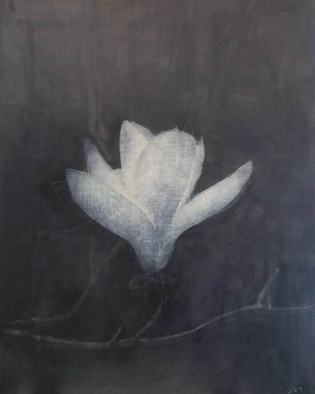 Uzo Hiramatsuさんのインスタグラム写真 - (Uzo HiramatsuInstagram)「past work #エンクレスト #fukuoka #contemporaryart #painting #drawing #mixedmedia #flower #magnolia」2月24日 16時04分 - uzo_hiramatsu