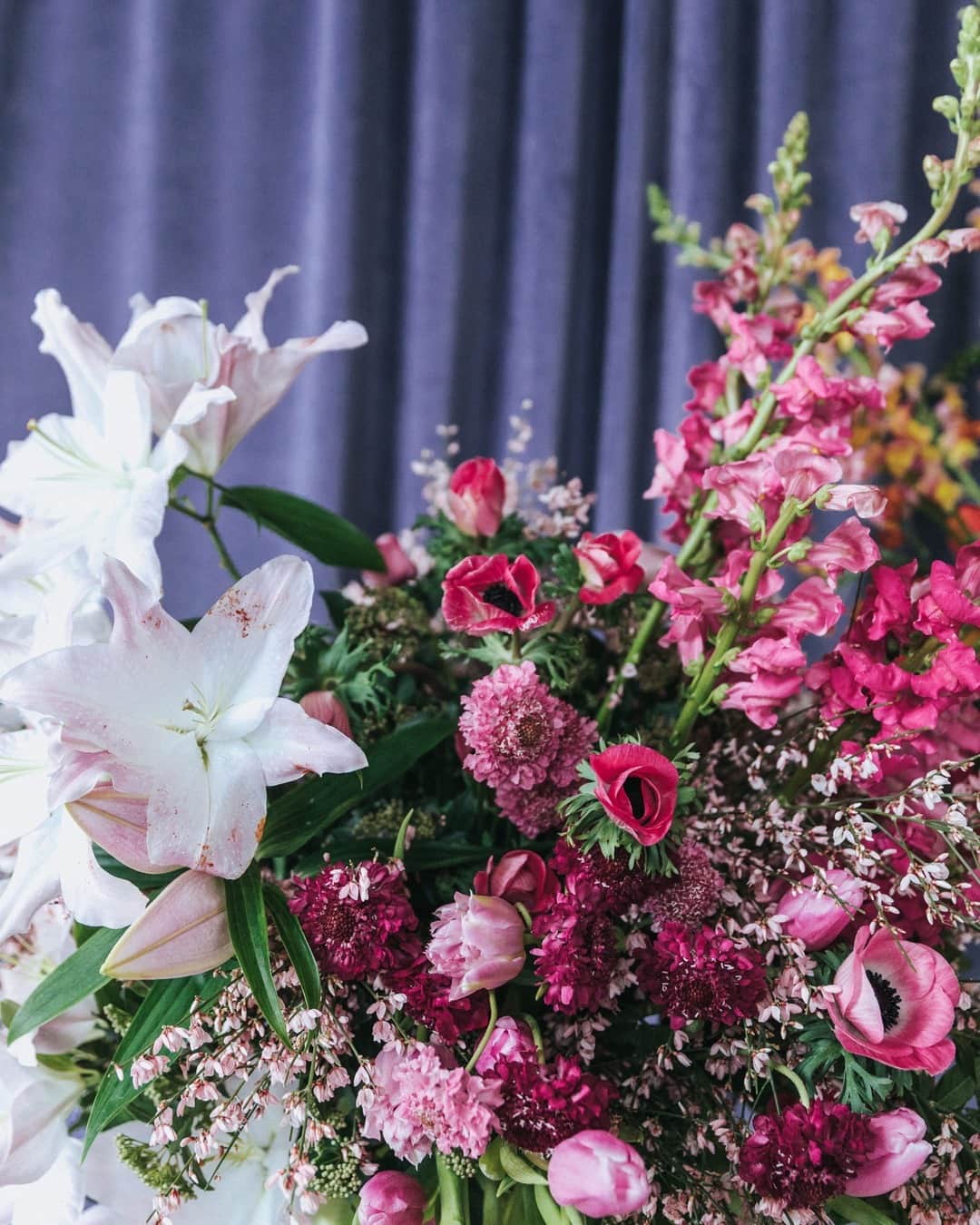 lisa gachetさんのインスタグラム写真 - (lisa gachetInstagram)「On ne se lasse pas de vous partager le set floral de 🌷 @bjustine_ c’est une pure beauté pour les yeux !⠀⠀⠀⠀⠀⠀⠀⠀⠀ ⠀⠀⠀⠀⠀⠀⠀⠀⠀  📸 @laurence.revol 🍋 #makemylemonade #flowerremedy」2月24日 16時11分 - makemylemonade