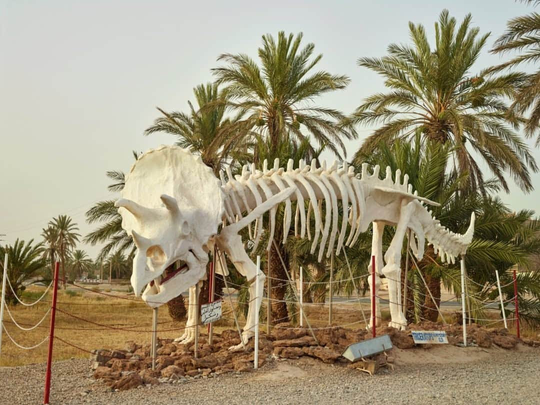 ナショナルジオグラフィックさんのインスタグラム写真 - (ナショナルジオグラフィックInstagram)「Photo by @paoloverzone / A statue of triceratops, a species found in North America, looms outside the Tahiri Fossil Museum near Rissani, Morocco. Though Morocco has dinosaurs of its own, they are less well known than their distant American relatives.Follow @paoloverzone for more photos and stories.  Check out Nat Geo's link in bio for more on this story.」2月24日 16時40分 - natgeo