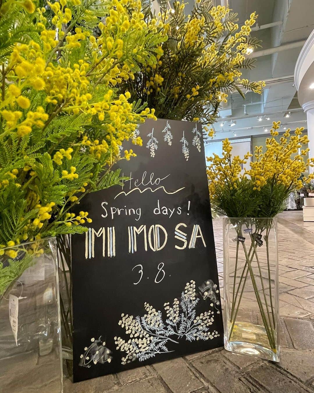 横浜ディスプレイミュージアムさんのインスタグラム写真 - (横浜ディスプレイミュージアムInstagram)「3月8日はミモザの日💛  黄色くて可愛い  ミモザ  ミモザが登場すると、 一気に春の訪れを感じますね☺️  花言葉は「感謝」「思いやり」  ミモザの日が3月8日なのは、国際女性デーに由来します。  女性だけではなく、 大切な人に感謝の気持ちを伝える🤲  そんな特別な日に、ミモザを選んでみてはいかがでしょうか。  店頭在庫ございます。 ぜひご利用くださいませ。  【スタッフおすすめ】 FA-7176／Y ミモザスプレー  上代 ¥880 +tax FA-7287／Y ミモザブランチ 上代 ¥2,800 +tax  #横浜ディスプレイミュージアム #株式会社ポピー #横浜 #ディスプレイ#アーティフィシャルフラワー #フラワーアレンジメント #フラワーデザイン #インテリア雑貨 #インテリア#インテリアコーディネート#スタイリスト#装飾#デコレーション#花のある暮らし #花好きな人と繋がりたい #春アレンジ  #春#ミモザ#mimosa#display #yokohama#flowerarrangement #interiordesign #artficialflower #flowerstagram」2月24日 17時31分 - yokohamadisplaymuseum