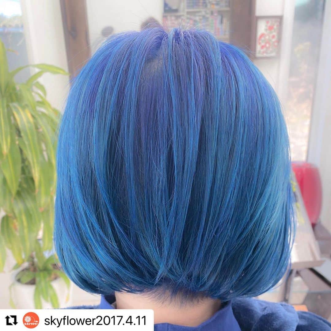 ロコル公式アカウントのインスタグラム：「#Repost @skyflower2017.4.11 with @make_repost ・・・  素敵なカラーデザインですね！ リポストさせていただきます。  #ロコル #locor #ヘアカラー #haircolor #外国人風カラー #外国人スタイル  #サロンカラー　#saloncolor #バレイヤージュ　#balayage #ハイトーンカラー　#hightone  #デザインカラー　#designcolor  #color #hair #ルベル #lebel　 #タカラベルモント #takarabelmont #stay_creative  #ステイクリエイティブ #クリエイティブを続けよう」