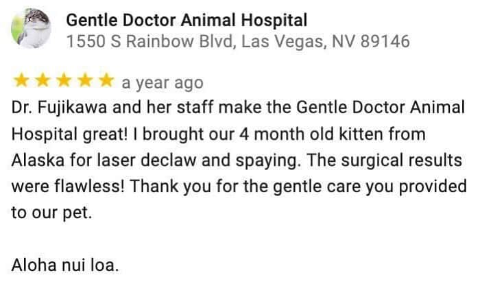 City the Kittyさんのインスタグラム写真 - (City the KittyInstagram)「We have a very SERIOUS problem!!! 😾😾😾😾😾 Who’s lying? @banfieldpethospital or this Banfield declawing hospital??😾😾😾😾 The Gentle Doctor Animal Hospital in Vegas is a BANFIELD animal hospital and they have been declawing cats since Banfield banned it in Jan. 2020. 🙀😾😾😾😾 The manager at Banfield's Gentle Doctor animal hospital  said that they put all their surgical procedures in their computer. Banfield corporate told us, "Our declawing policy is to be followed in all of Banfield’s hospitals. There is no difference between PetSmart and stand-alone hospitals as it relates to compliance to this policy. We track all of the procedures done in our hospitals and do not see evidence of Banfield hospitals performing elective declaws. All anesthetic procedures performed in our hospitals are required to be entered into Banfields electronica medical records database.”🙀🙀🙀🙀  🙀We sent Banfield Pet Hospital another note to ask them about this very serious issue!  If this Banfield is still declawing lots of cats, who knows if other Banfields are still doing them.😾😾😾😾 #banfieldpethospital #Banfield Always take the high road, be polite, and educate. #banfieldlife #banfieldpetpals #stopdeclawing #cats #gentledoctoranimalhospital」2月25日 4時17分 - citythekitty