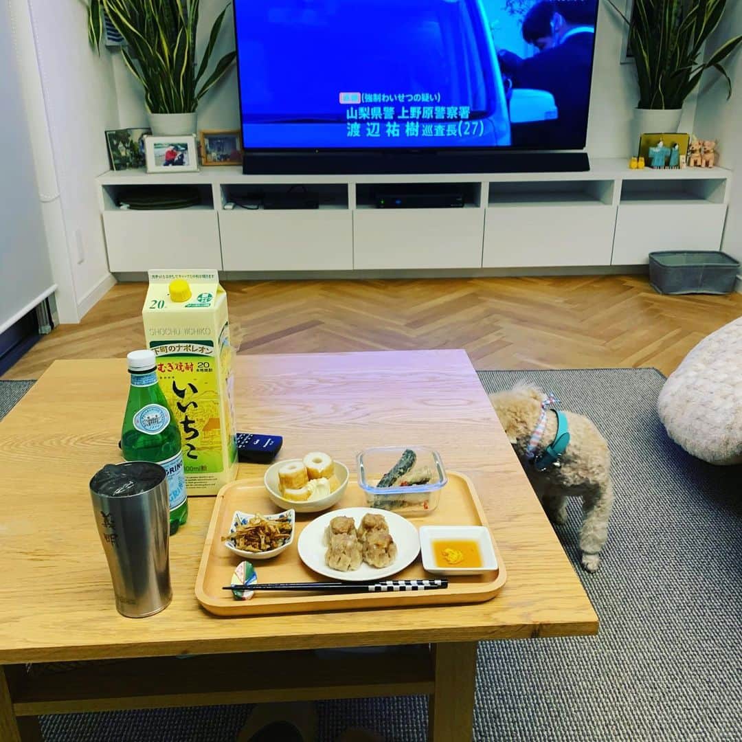金村義明さんのインスタグラム写真 - (金村義明Instagram)「アロンと早よ寝よ！」2月24日 19時45分 - yoshiaki_kanemura