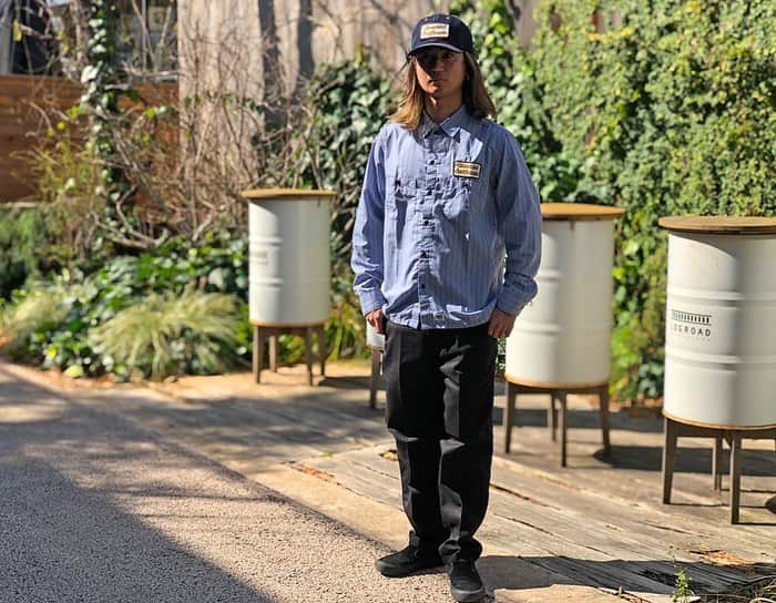 スタンダードカリフォルニアのインスタグラム